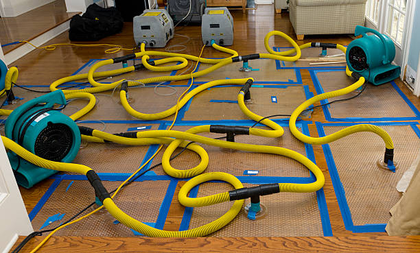 Professional Basement Flood Cleanup technician working in Cypress Inn, TN